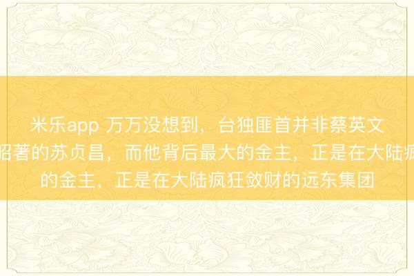 米乐app 万万没想到,台独匪首并非蔡英文,赖清德,是臭名昭著的苏贞昌,而他背后最大的金主,正是在大陆疯狂敛财的远东集团