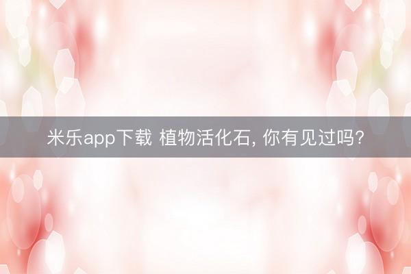 米乐app下载 植物活化石， 你有见过吗?