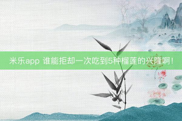 米乐app 谁能拒却一次吃到5种榴莲的兴隆啊!