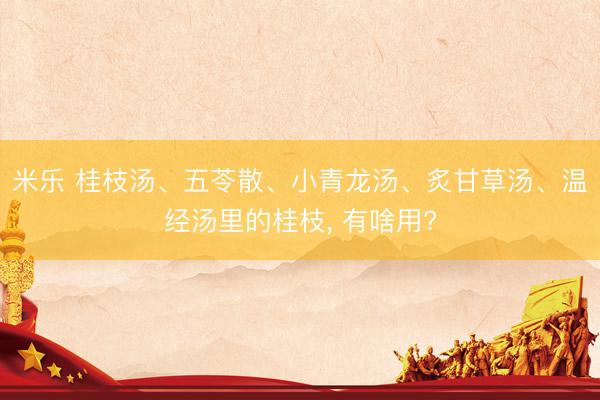 米乐 桂枝汤、五苓散、小青龙汤、炙甘草汤、温经汤里的桂枝, 有啥用?