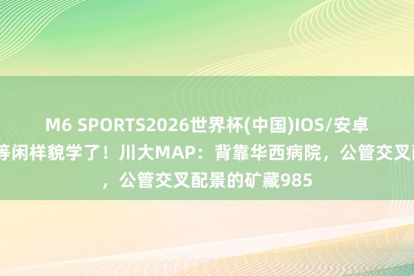 M6 SPORTS2026世界杯(中国)IOS/安卓官方下载 别卷等闲样貌学了！川大MAP：背靠华西病院，公管交叉配景的矿藏985