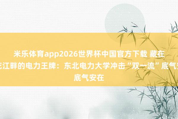 米乐体育app2026世界杯中国官方下载 藏在松花江畔的电力王牌:东北电力大学冲击“双一流”底气安在