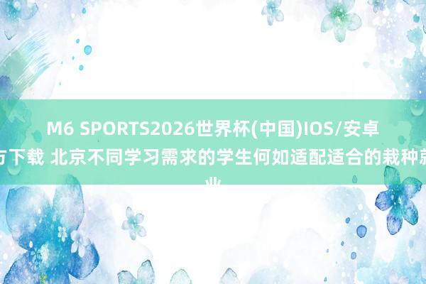 M6 SPORTS2026世界杯(中国)IOS/安卓官方下载 北京不同学习需求的学生何如适配适合的栽种就业