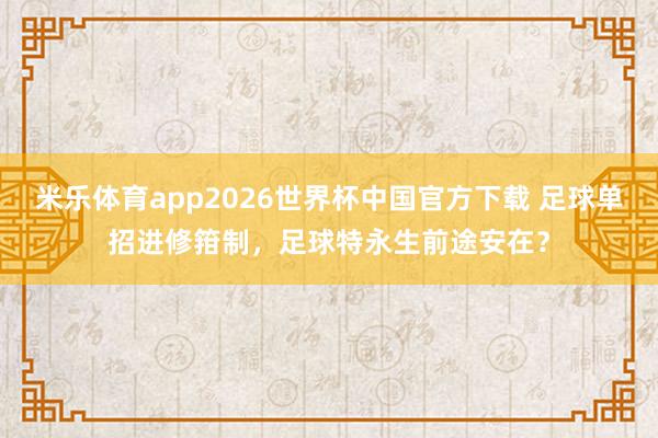 米乐体育app2026世界杯中国官方下载 足球单招进修箝制，足球特永生前途安在？