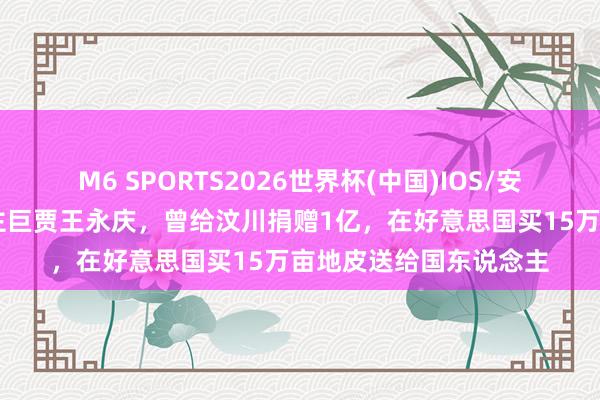 M6 SPORTS2026世界杯(中国)IOS/安卓官方下载 华东说念主巨贾王永庆,曾给汶川捐赠1亿,在好意思国买15万亩地皮送给国东说念主