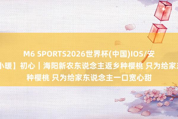 M6 SPORTS2026世界杯(中国)IOS/安卓官方下载 【岁月小暖】初心|海阳新农东说念主返乡种樱桃 只为给家东说念主一口宽心甜