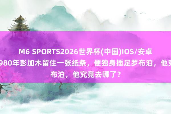M6 SPORTS2026世界杯(中国)IOS/安卓官方下载 1980年彭加木留住一张纸条,便独身插足罗布泊,他究竟去哪了?