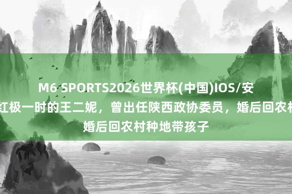 M6 SPORTS2026世界杯(中国)IOS/安卓官方下载 红极一时的王二妮,曾出任陕西政协委员,婚后回农村种地带孩子