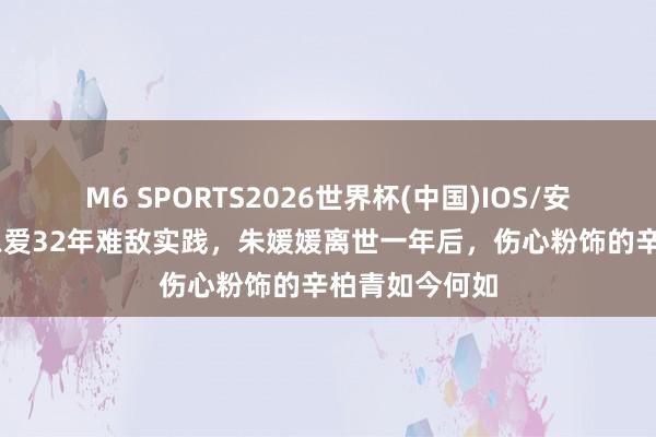 M6 SPORTS2026世界杯(中国)IOS/安卓官方下载 恩爱32年难敌实践,朱媛媛离世一年后,伤心粉饰的辛柏青如今何如