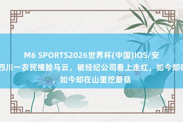 M6 SPORTS2026世界杯(中国)IOS/安卓官方下载 四川一农民撞脸马云,被经纪公司看上走红,如今却在山里挖蘑菇