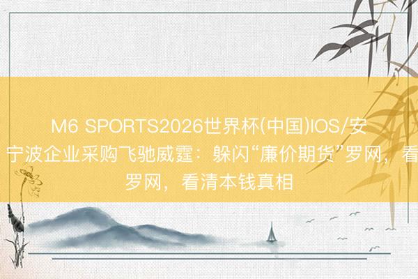 M6 SPORTS2026世界杯(中国)IOS/安卓官方下载 宁波企业采购飞驰威霆:躲闪“廉价期货”罗网,看清本钱真相