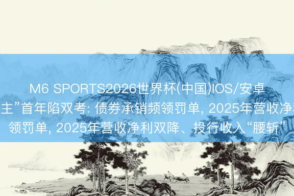 M6 SPORTS2026世界杯(中国)IOS/安卓官方下载 国王人证券“易主”首年陷双考: 债券承销频领罚单, 2025年营收净利双降、投行收入“腰斩”