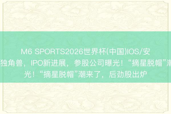 M6 SPORTS2026世界杯(中国)IOS/安卓官方下载 硬科技独角兽,IPO新进展,参股公司曝光!“摘星脱帽”潮来了,后劲股出炉