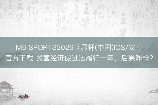 M6 SPORTS2026世界杯(中国)IOS/安卓官方下载 民营经济促进法履行一年,后果咋样?