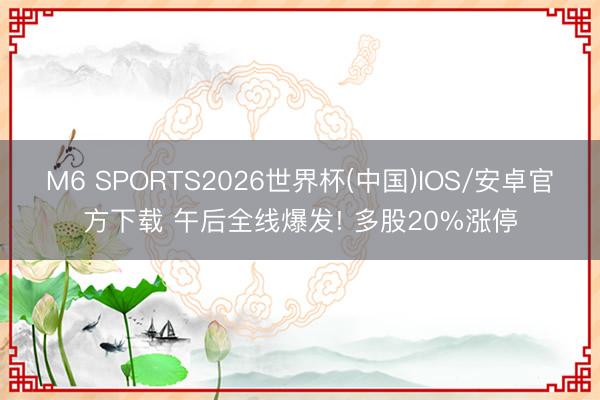 M6 SPORTS2026世界杯(中国)IOS/安卓官方下载 午后全线爆发! 多股20%涨停