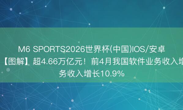 M6 SPORTS2026世界杯(中国)IOS/安卓官方下载 【图解】超4.66万亿元！前4月我国软件业务收入增长10.9%