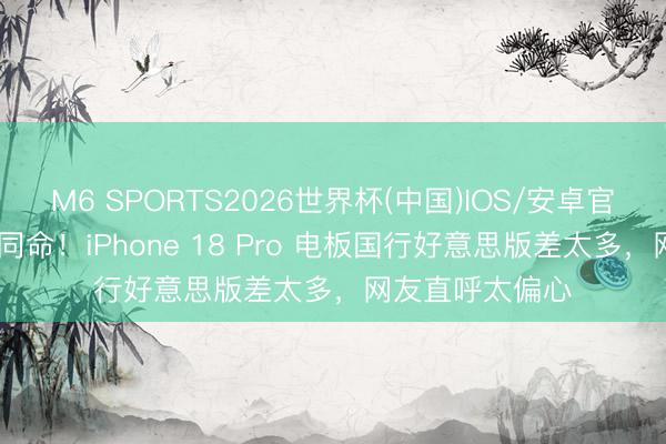 M6 SPORTS2026世界杯(中国)IOS/安卓官方下载 同机不同命!iPhone 18 Pro 电板国行好意思版差太多,网友直呼太偏心