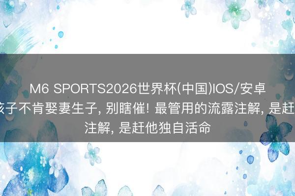 M6 SPORTS2026世界杯(中国)IOS/安卓官方下载 孩子不肯娶妻生子, 别瞎催! 最管用的流露注解, 是赶他独自活命