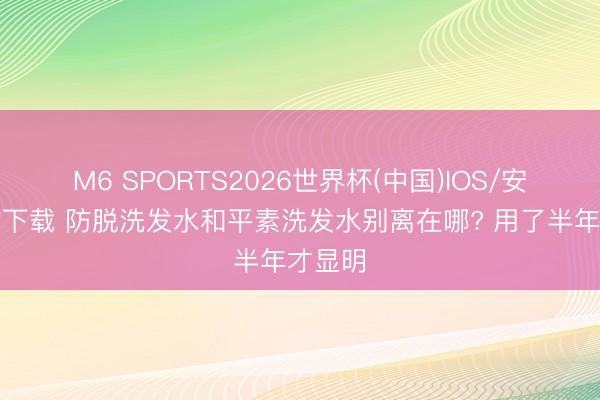 M6 SPORTS2026世界杯(中国)IOS/安卓官方下载 防脱洗发水和平素洗发水别离在哪? 用了半年才显明