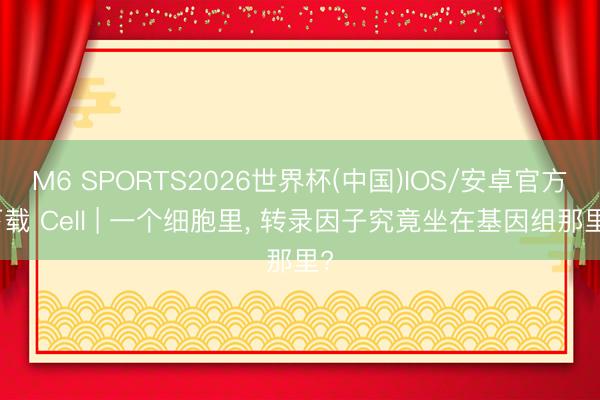 M6 SPORTS2026世界杯(中国)IOS/安卓官方下载 Cell | 一个细胞里, 转录因子究竟坐在基因组那里?