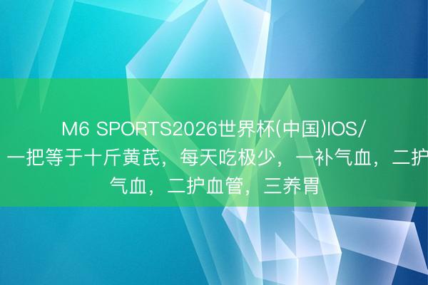 M6 SPORTS2026世界杯(中国)IOS/安卓官方下载 一把等于十斤黄芪,每天吃极少,一补气血,二护血管,三养胃