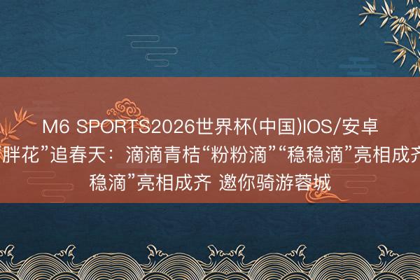 M6 SPORTS2026世界杯(中国)IOS/安卓官方下载 随着“胖花”追春天：滴滴青桔“粉粉滴”“稳稳滴”亮相成齐 邀你骑游蓉城