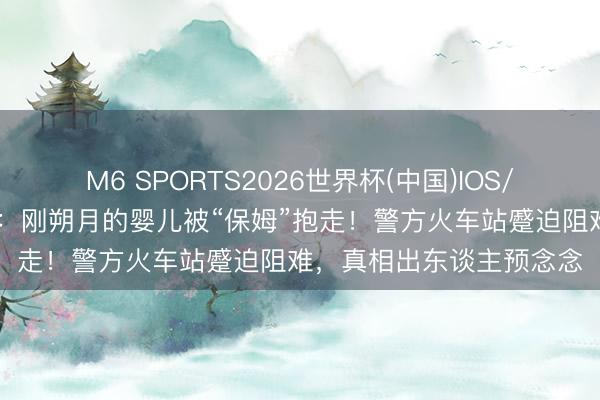 M6 SPORTS2026世界杯(中国)IOS/安卓官方下载 爸爸报警：刚朔月的婴儿被“保姆”抱走！警方火车站蹙迫阻难，真相出东谈主预念念