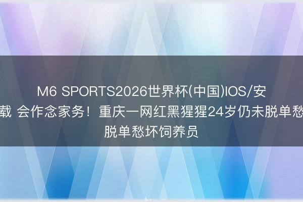 M6 SPORTS2026世界杯(中国)IOS/安卓官方下载 会作念家务!重庆一网红黑猩猩24岁仍未脱单愁坏饲养员