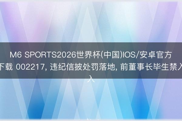 M6 SPORTS2026世界杯(中国)IOS/安卓官方下载 002217, 违纪信披处罚落地, 前董事长毕生禁入