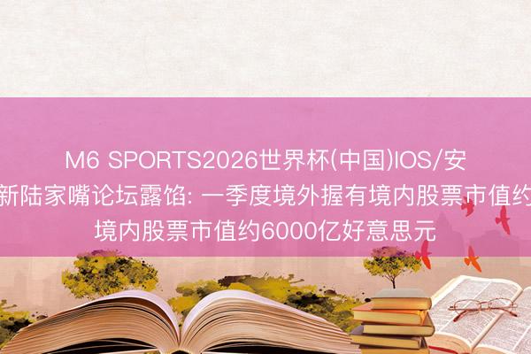 M6 SPORTS2026世界杯(中国)IOS/安卓官方下载 朱鹤新陆家嘴论坛露馅: 一季度境外握有境内股票市值约6000亿好意思元